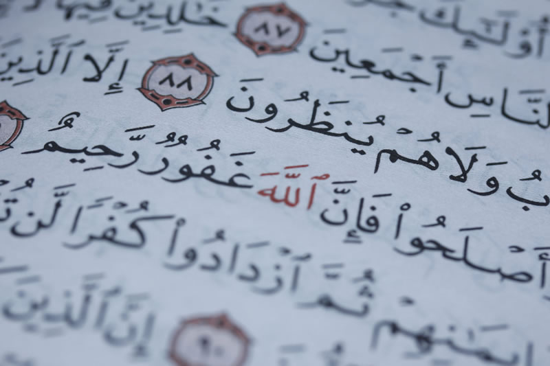 文章中的古蘭經為什麼不用書名號