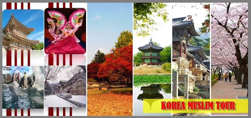 韓國大力開展穆斯林旅遊業