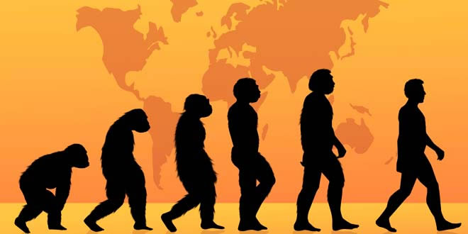 土耳其學校教材刪除達爾文進化論內容