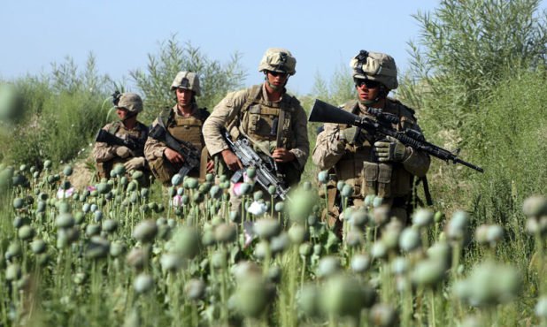 阿富汗戰爭：令人乍舌的毒品經濟
