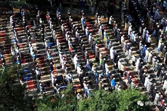 西寧地區20萬穆斯林同胞喜慶“爾德節”