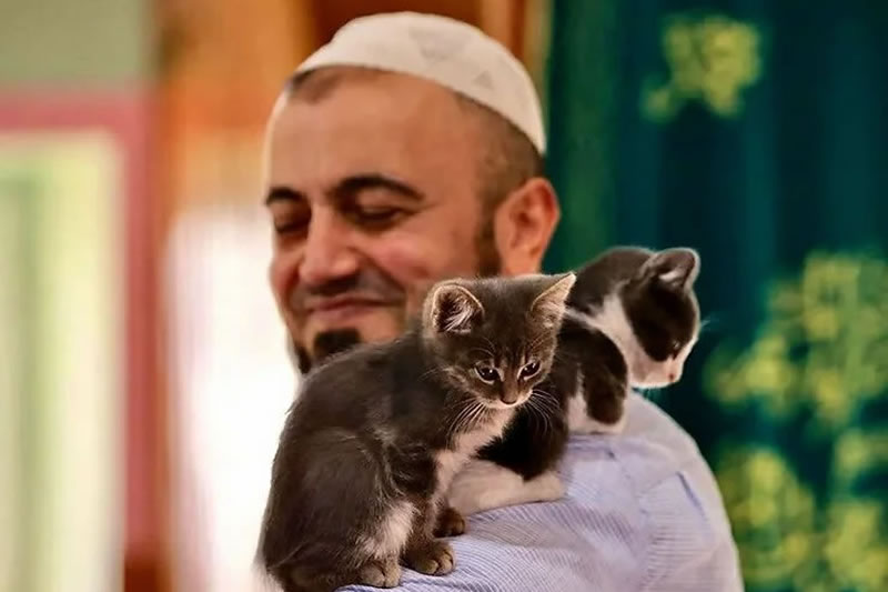 穆斯林的貓文化