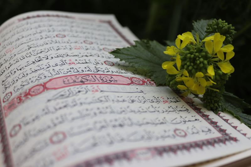 古蘭經宣導的25種美德