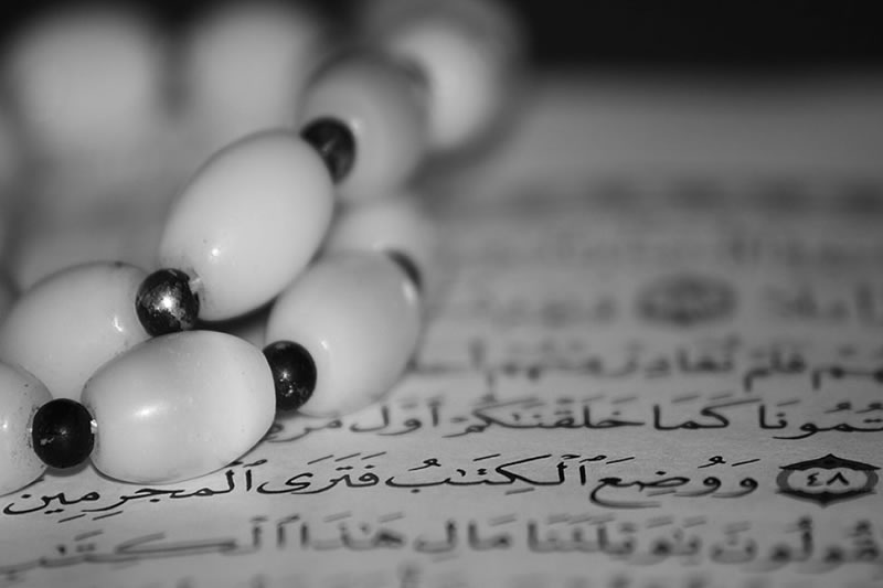潛心研讀古蘭經的八點建議